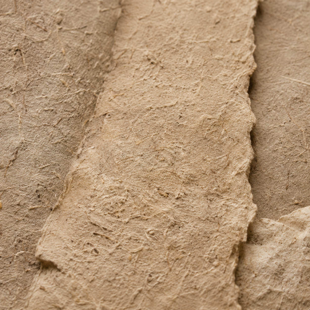 Close-up of textured beige stone surface